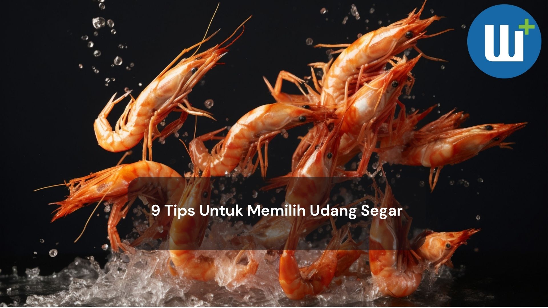 9 Tips Untuk Memilih Udang Segar